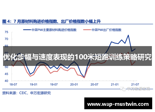 优化步幅与速度表现的100米短跑训练策略研究