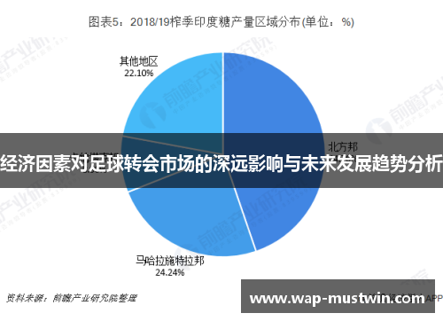 经济因素对足球转会市场的深远影响与未来发展趋势分析