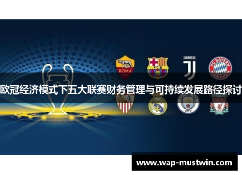 欧冠经济模式下五大联赛财务管理与可持续发展路径探讨