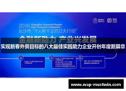实现新春外贸目标的八大最佳实践助力企业开创年度新篇章