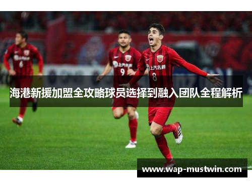 海港新援加盟全攻略球员选择到融入团队全程解析