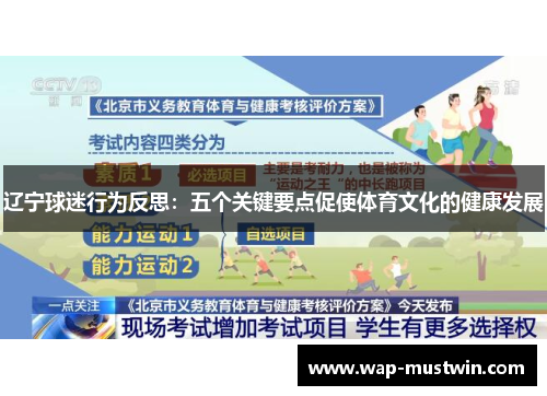 辽宁球迷行为反思：五个关键要点促使体育文化的健康发展