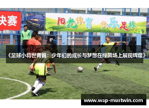 《足球小将世青篇：少年们的成长与梦想在绿茵场上展现辉煌》