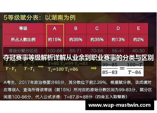 夺冠赛事等级解析详解从业余到职业赛事的分类与区别