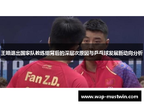 王皓退出国家队教练组背后的深层次原因与乒乓球发展新动向分析