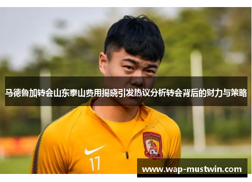马德鲁加转会山东泰山费用揭晓引发热议分析转会背后的财力与策略