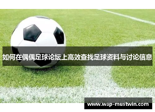 如何在偶偶足球论坛上高效查找足球资料与讨论信息